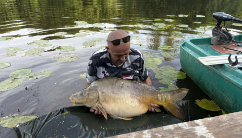 A carp from Carp House, Aug 2025