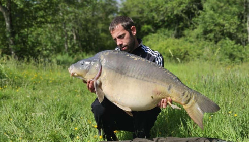 A carp from Carp House, Jun 2025