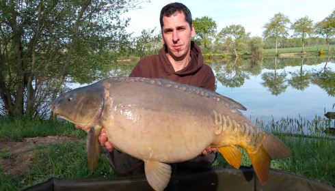A carp from Carrouge, Apr 2024