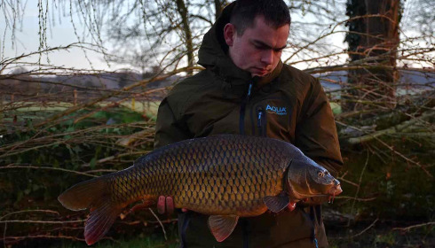 A carp from Carrouge, Feb 2024