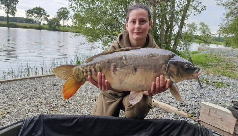 A carp from Carrouge, Jun 2024