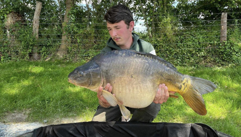 A carp from Carrouge, Jun 2024