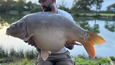A carp from Carrouge, Oct 2024