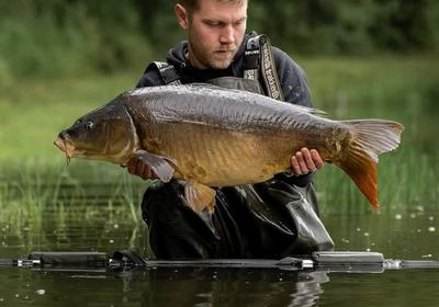 A carp from Carrouge, May 2024