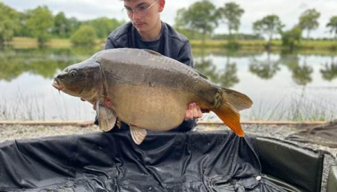 A carp from Carrouge, Jul 2024