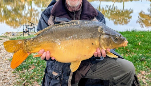 A carp from Carrouge, Oct 2025