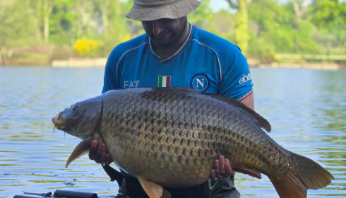 A 55 lb 10 oz carp from Carrouge, May 2025