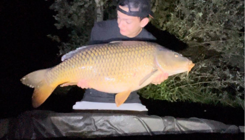 A carp from Carrouge, Jul 2024