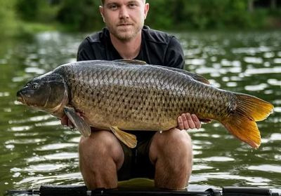 A carp from Carrouge, May 2024