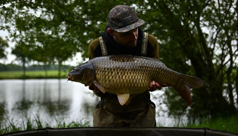 A carp from Carrouge, Jun 2024
