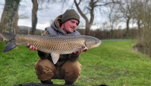 A carp from Carrouge, Mar 2024