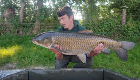A carp from Carrouge, Jun 2024