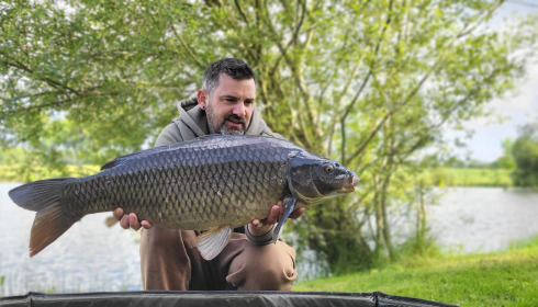 A carp from Carrouge, Jun 2024