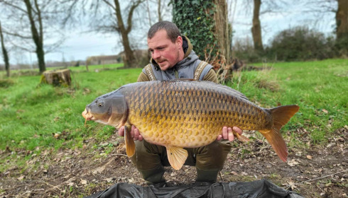 A carp from Carrouge, Feb 2024