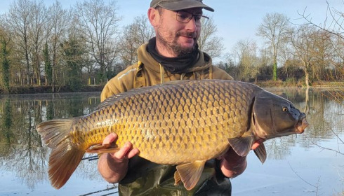 A carp from Carrouge, Jan 2024