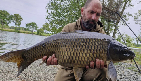 A carp from Carrouge, Jun 2024