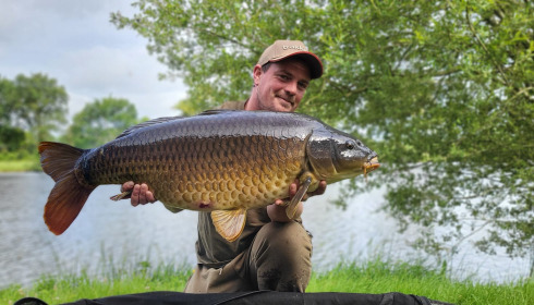 A carp from Carrouge, Jun 2024