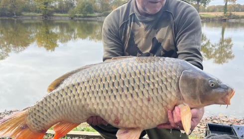 A carp from Carrouge, Oct 2025