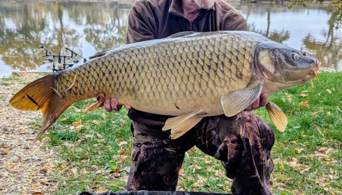 A carp from Carrouge, Oct 2025