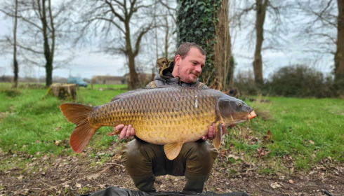 A carp from Carrouge, Feb 2024