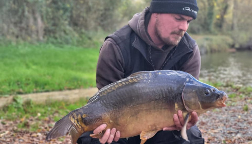 A carp from Carrouge, NEW STOCK, Dec 2024