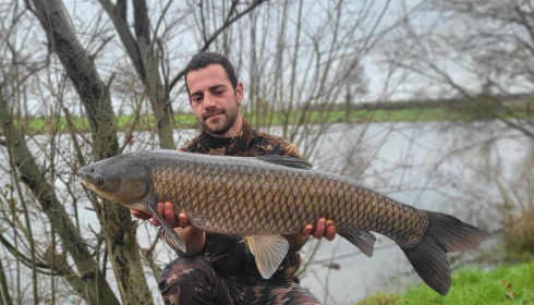 A carp from Carrouge, Mar 2024