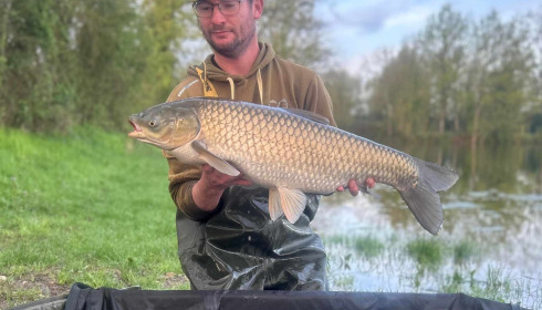 A carp from Carrouge, Apr 2024