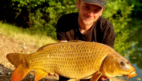 A carp from Cerises, Jun 2023