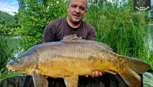 A carp from Cerises, May 2024