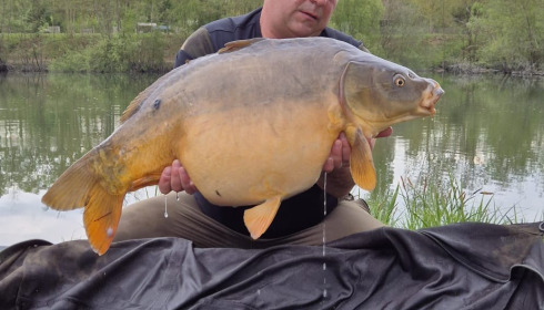 A fish from Cerises, Apr 2025