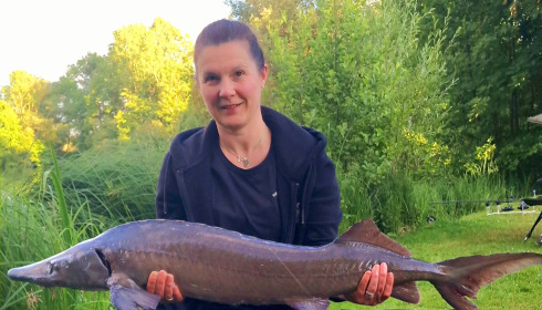 A 22 lb sturgeon from Cerises, Katie Money, Jun 2024