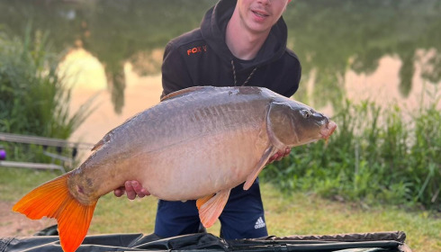 A carp from Cerises, Jun 2023