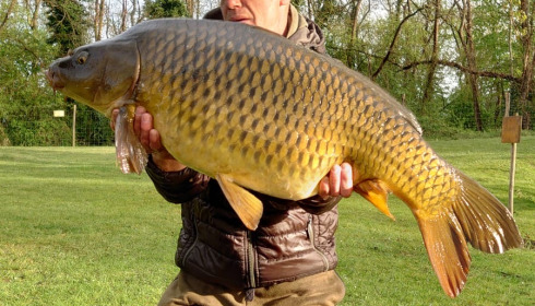 A fish from Cerises, Apr 2025