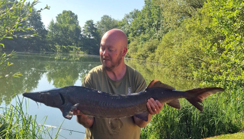A 22 lb sturgeon from Cerises, Gavin Money, Jun 2024
