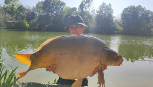 A carp from Cerises, Jun 2023