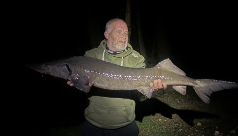 A fish from Cerises, May 2025