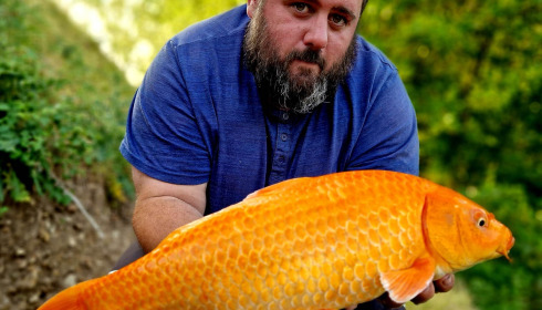 A carp from Cerises, Jun 2023