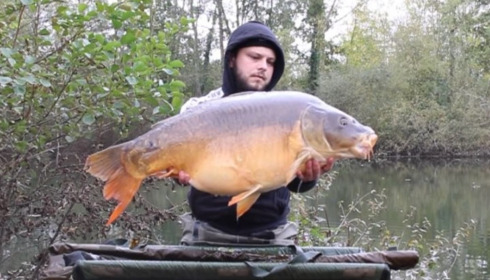 A carp from Cerises, Nov 2024