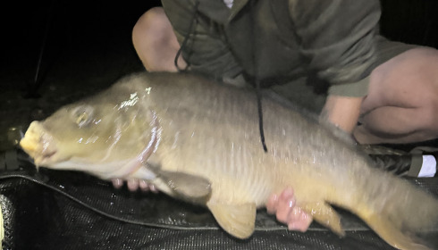 A 32 lb 4 oz fish from Cerises, Mirror, May 2025