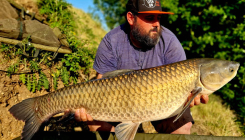 A grass carp from Cerises, Jun 2023