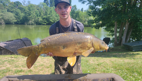 A carp from Cerises, Jun 2023