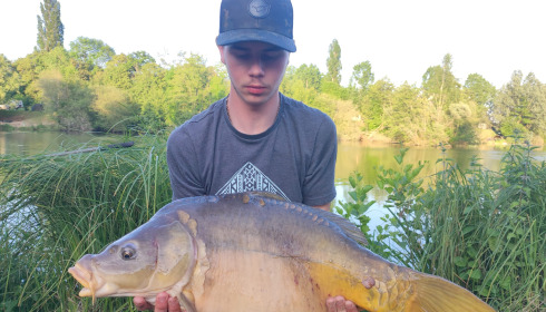 A carp from Cerises, Jun 2023