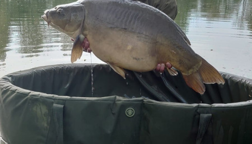 A carp from Cerises, Apr 2025