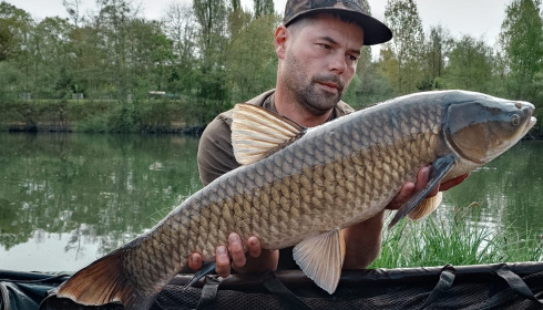 A grass carp from Cerises, Apr 2025