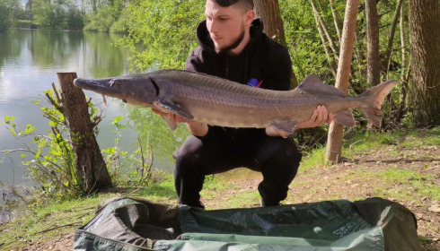 A carp from Cerises, Apr 2024