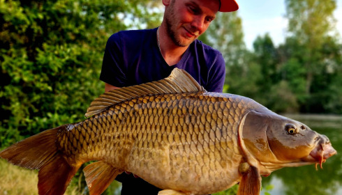 A carp from Cerises, Jun 2023