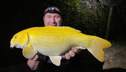 A carp from Cerises, Jun 2023