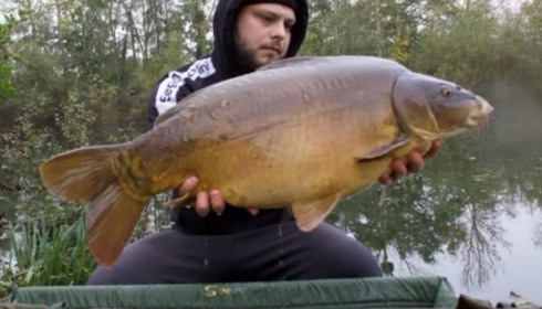 A carp from Cerises, Nov 2024