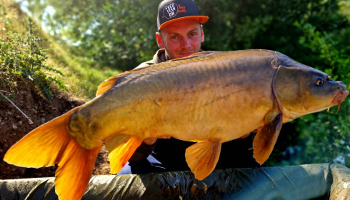 A carp from Cerises, Jun 2023