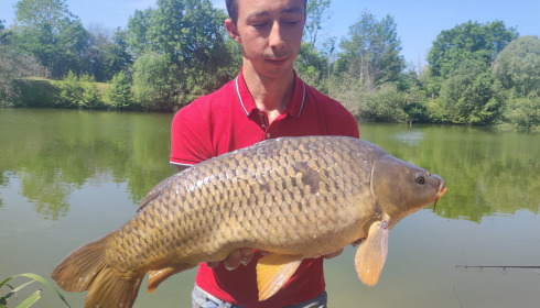 A carp from Cerises, Jun 2023